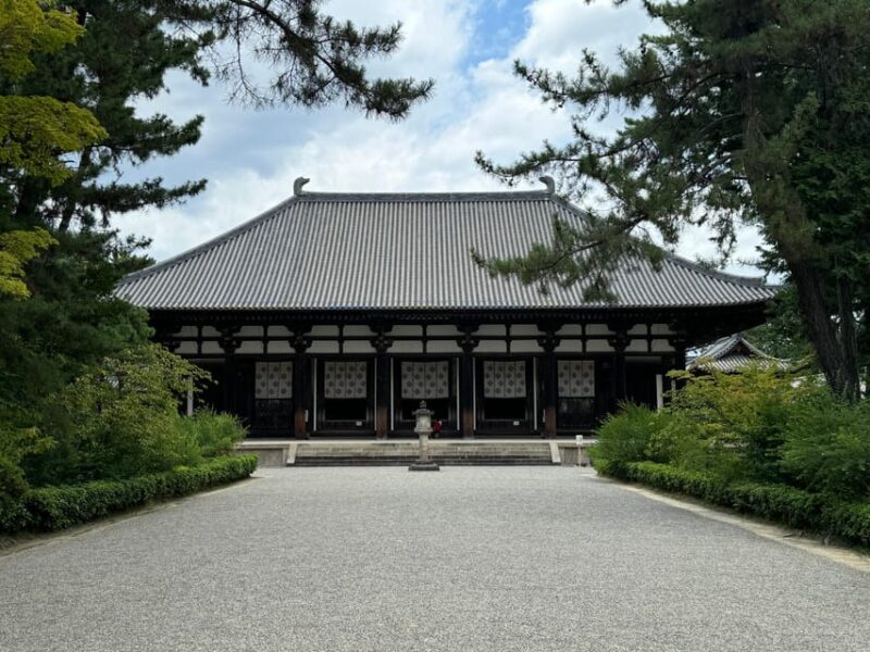 Nara: World Heritage Yakushi-ji & Toshodai-ji in 3 Hours - Tour Duration and Language