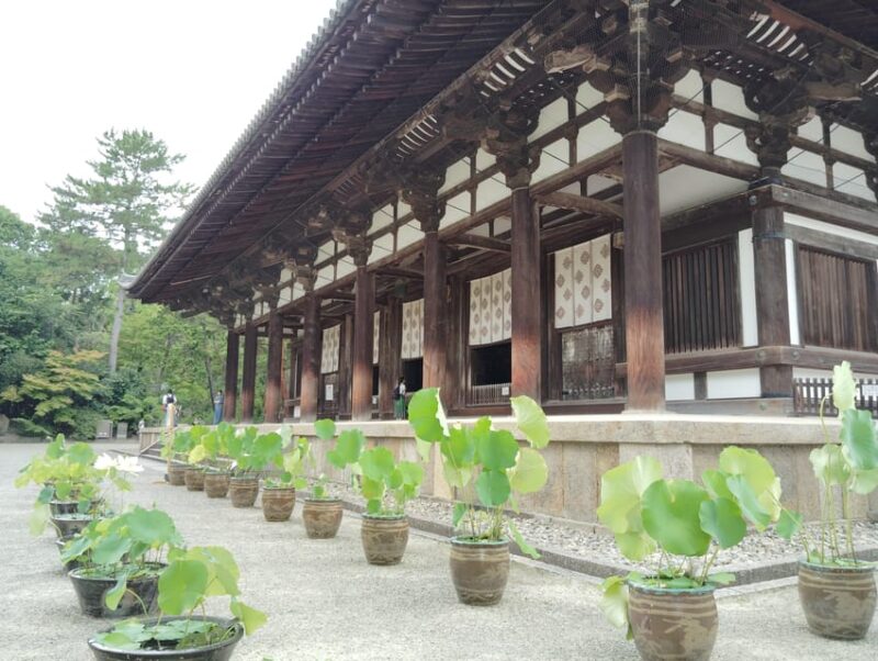 Nara: World Heritage Yakushi-ji & Toshodai-ji in 3 Hours - Meeting Point and Directions
