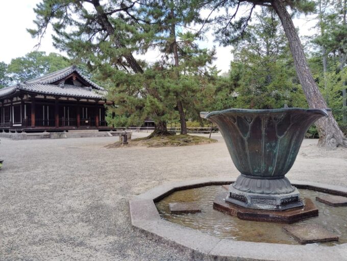 Nara: Yakushi-ji & Toshodai-ji - Timeless in 3 Hours - Savings and Discounts