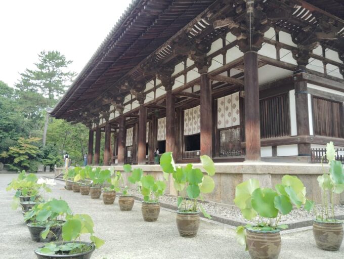 Nara: Yakushi-ji & Toshodai-ji - Timeless in 3 Hours - Booking and Cancellation Policy