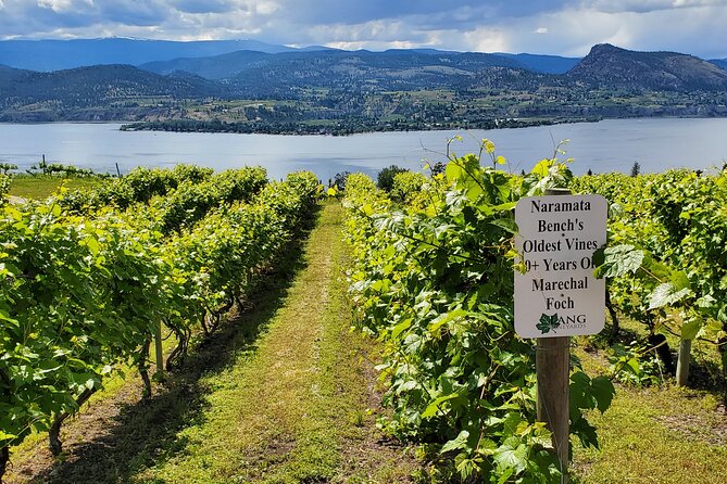 Naramata Private Wine Tour - Half Day - Meeting and Pickup