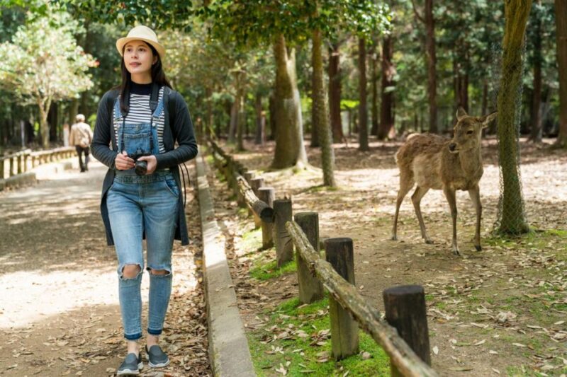 Nara's Historical Wonders: A Journey Through Time and Nature - Historic Temples and Guided Tours