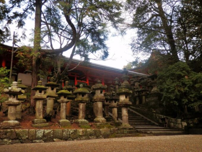 Nara's Historical Wonders: A Journey Through Time and Nature - Frequently Asked Questions