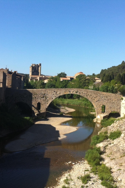 Narbonne, Gruissan & Lagrasse Village. Day Tour - Exploring Narbonnes Market Halls