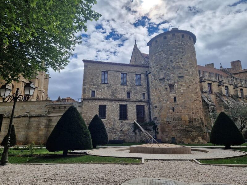 Narbonne: Visit the Archbishops Palace and Cathedral - Accessibility and Group Options