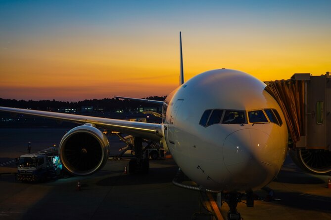 Narita Airport Layover Transit: Guided Private Tour - Health and Safety Considerations