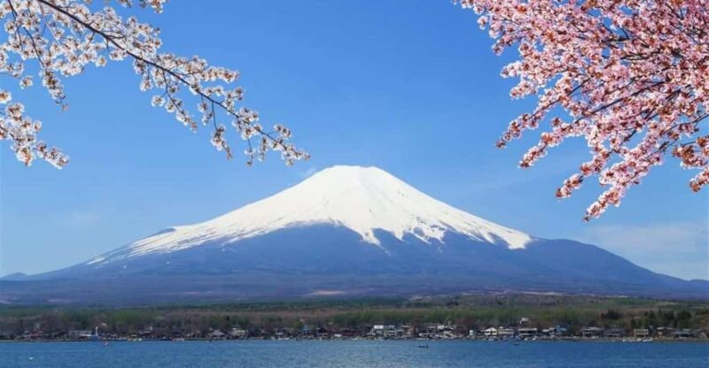 Narita Airport (Nrt) To/From Mount Fuji Private Transfer - Transfer Service Offerings
