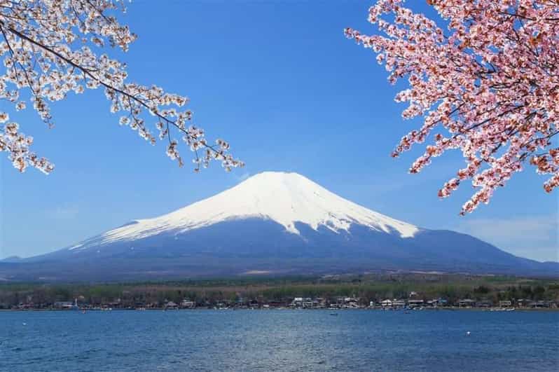 Narita Airport (Nrt) To/From Mount Fuji Private Transfer - Airport Drop-off Recommendations