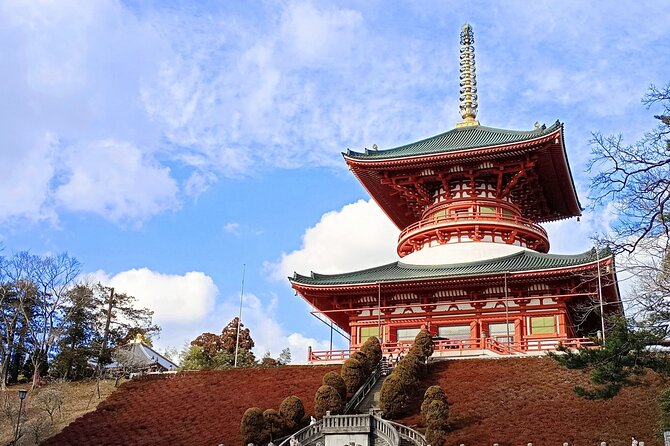 Narita Layover Tour With National Licensed Guide - Exploring Naritas Cultural Highlights