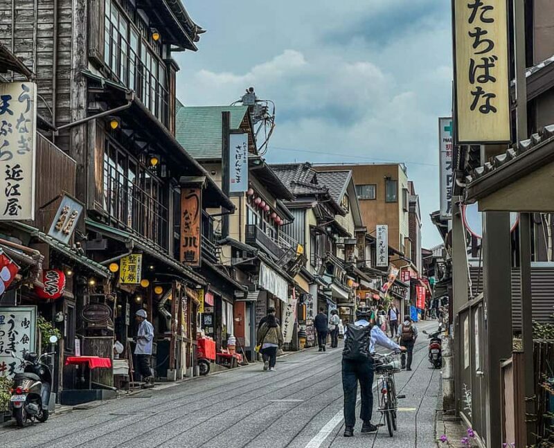 Narita: Naritasan Shinshoji Temple Layover Tour from Airport - What Reviewers Say