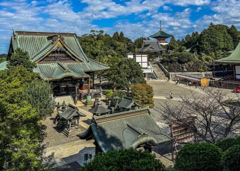 Narita: Naritasan Shinshoji Temple Layover Tour from Airport - Practical Details