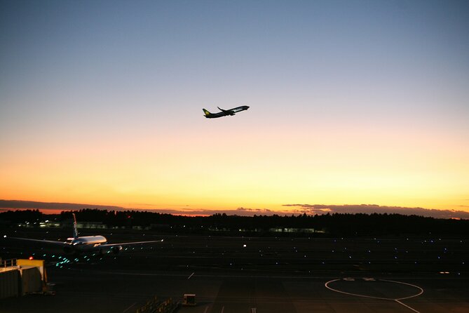 Narita or Haneda Airport Private Transfer to Hotel or Airbnb - Pickup and Drop-off Locations