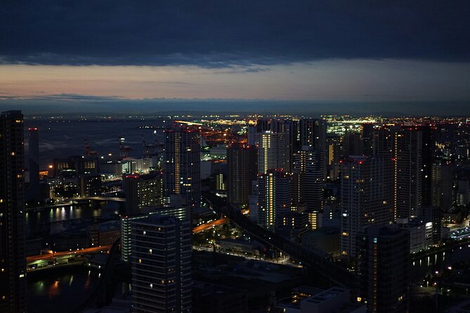 Narita or Haneda Airport Private Transfer to Hotel or Airbnb - Service Reliability