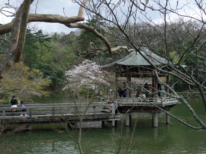Narita: Walking Tour, Omotesando Street, Narita-San Temple - Discover Naritasan Park