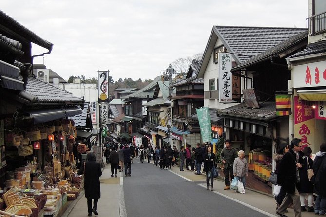 Naritasan Shinshoji Temple Before Your Flight - Tour Details and Inclusions