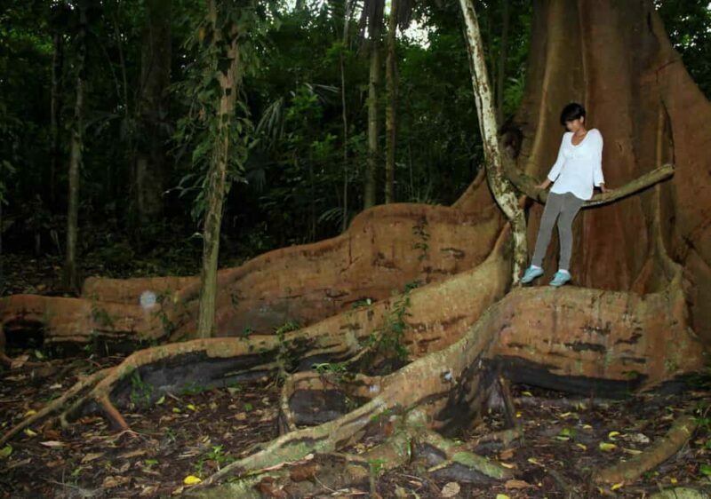 Nariva Swamp: Monkey Viewing Experience - An In-Depth Look at the Nariva Swamp Monkey Viewing Tour