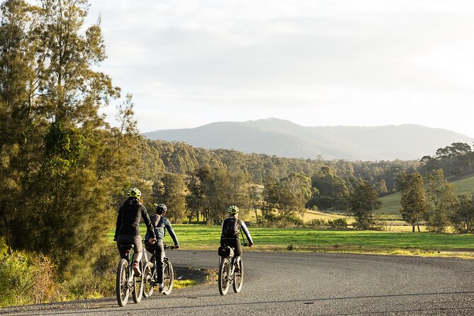 Narooma - E-Bike Hire 2 Hour Rental - Exploring Naroomas Highlights