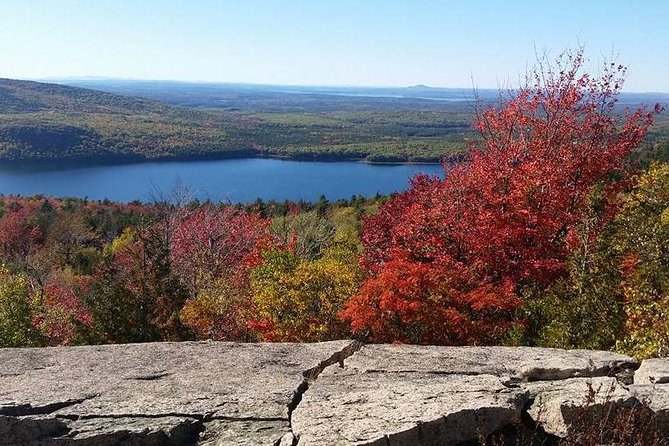Narrated Bus Tour of Bar Harbor and Acadia National Park - Guides and Narration