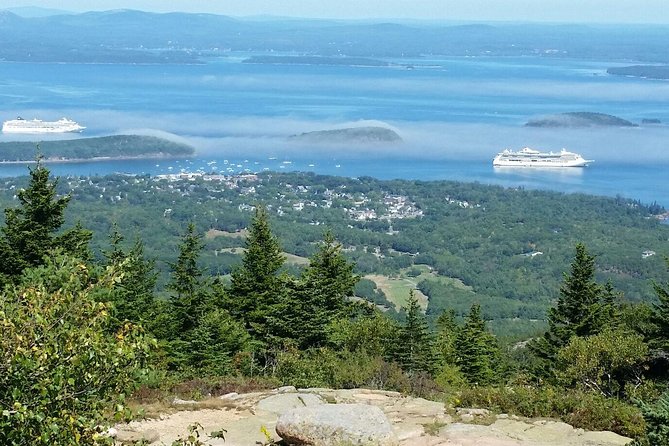 Narrated Bus Tour of Bar Harbor and Acadia National Park - Traveler Reviews and Feedback