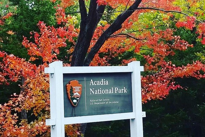 Narrated Bus Tour of Bar Harbor and Acadia National Park - Exploring Sieur De Monts Spring