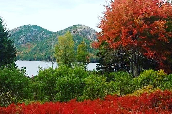 Narrated Bus Tour of Bar Harbor and Acadia National Park - Marveling at Thunder Hole