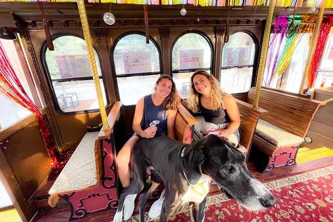 Narrated Scenic Trolley Tour in Minneapolis, Minnesota - Recommendations for First-Time Visitors