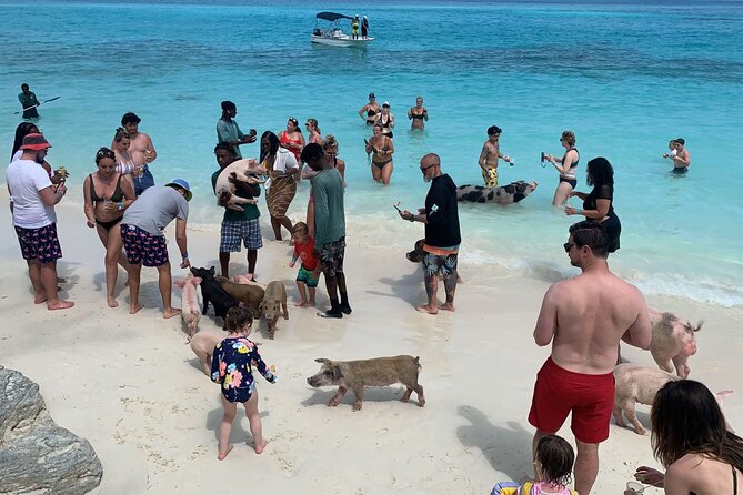 Nas: 3 Islands, Snorkeling, Pig Beach , Turtles & Lunch Boat Trip - Customer Feedback on Negative Experiences