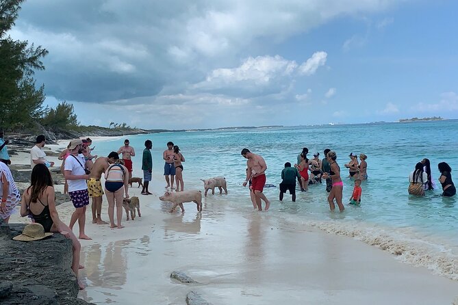 Nas: 3 Islands, Snorkeling, Pig Beach , Turtles & Lunch Boat Trip - Scheduling Options