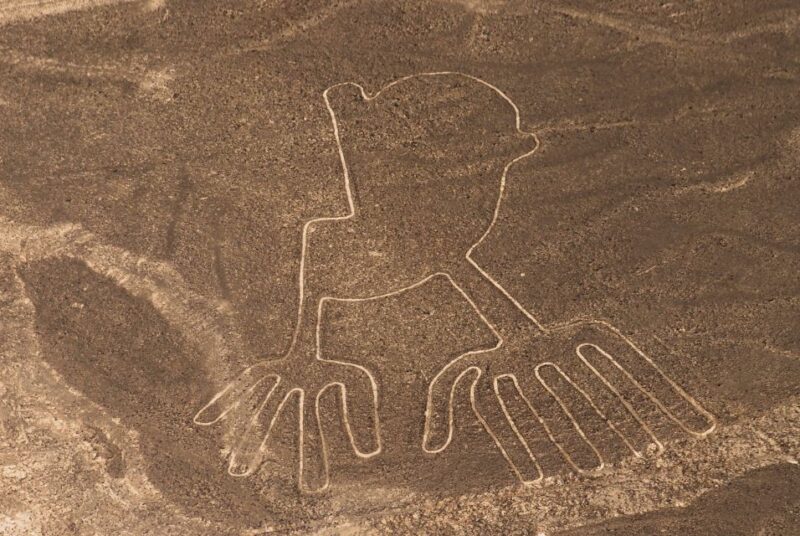 Nasca Lines Overflight With Lunch From Lima - Key Points