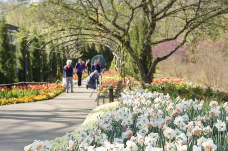 Nashville: Sightseeing Day Pass - Attractions and Experiences