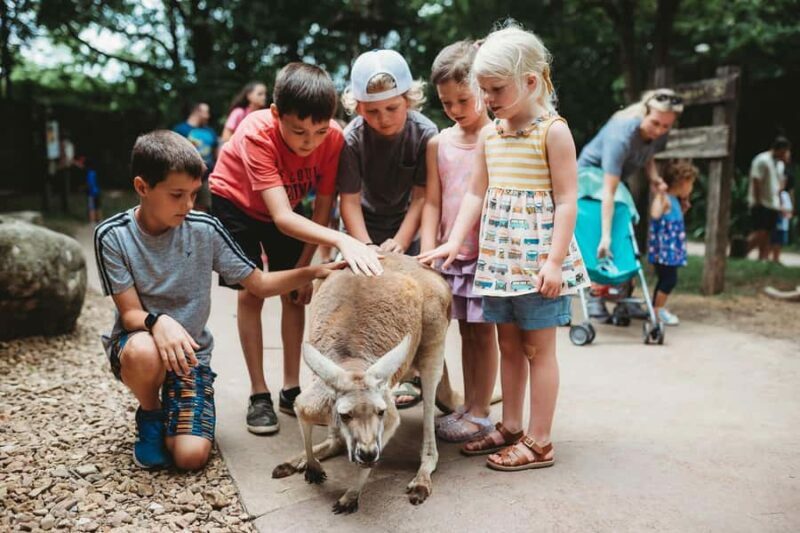 Nashville Zoo: Any-Day Admission Ticket - A Detailed Look at Nashville Zoo