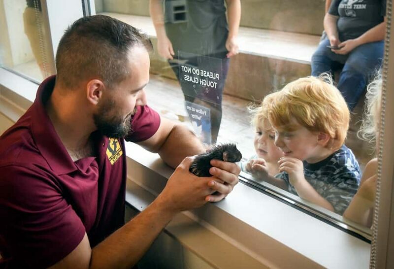 Nashville Zoo: Any-Day Admission Ticket - The Sum Up