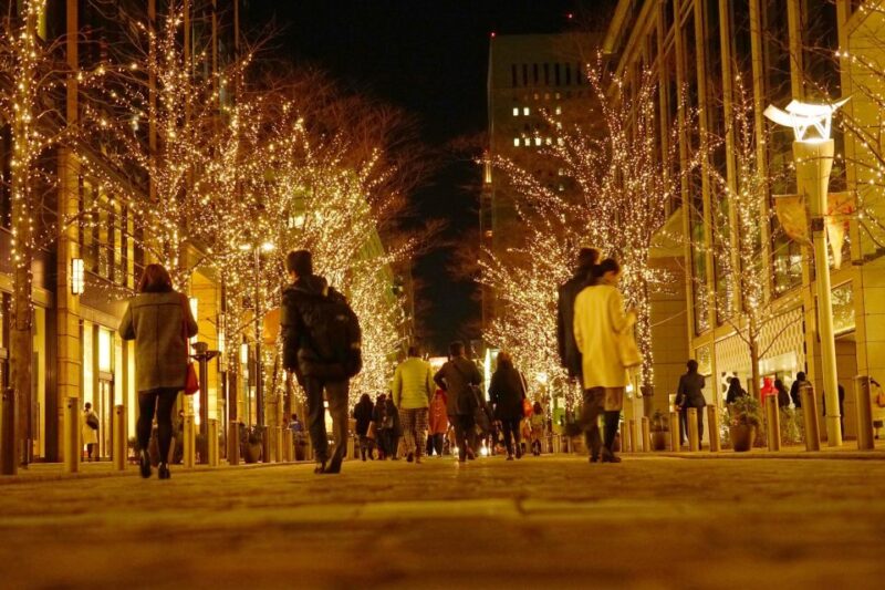 Nashville's Holiday Harmony: A Christmas Melody Tour - Itinerary Highlights