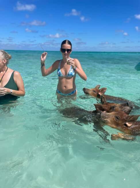 Nassau: 3-Island Snorkel Tour with Pigs, Beach Club, & Lunch - The Sum Up
