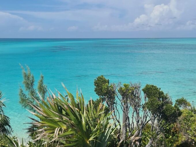 Nassau: 3 Islands Tour, Snorkel, Pig Beach, Turtles & Lunch - Frequently Asked Questions