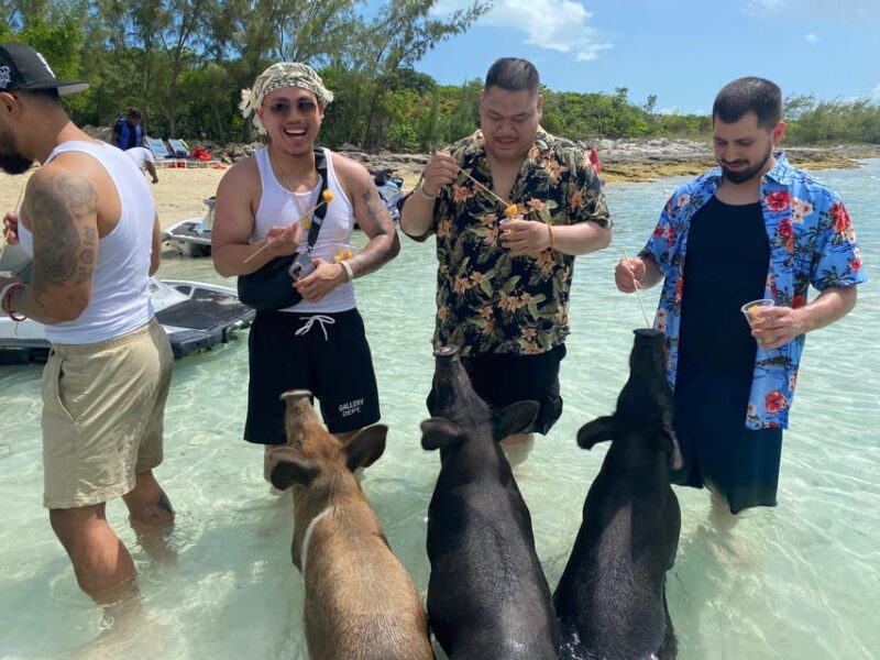 Nassau 4 Hour Tour: Snorkelling, Swimming Pigs, Turtles - Key Points