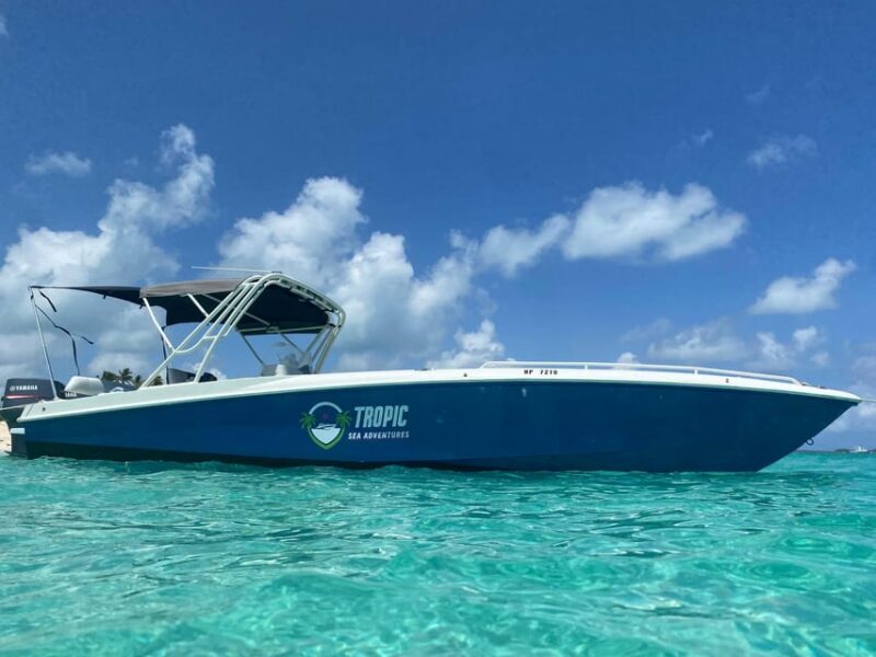 Nassau 4 Hour Tour: Snorkelling, Swimming Pigs, Turtles - Itinerary and Highlights