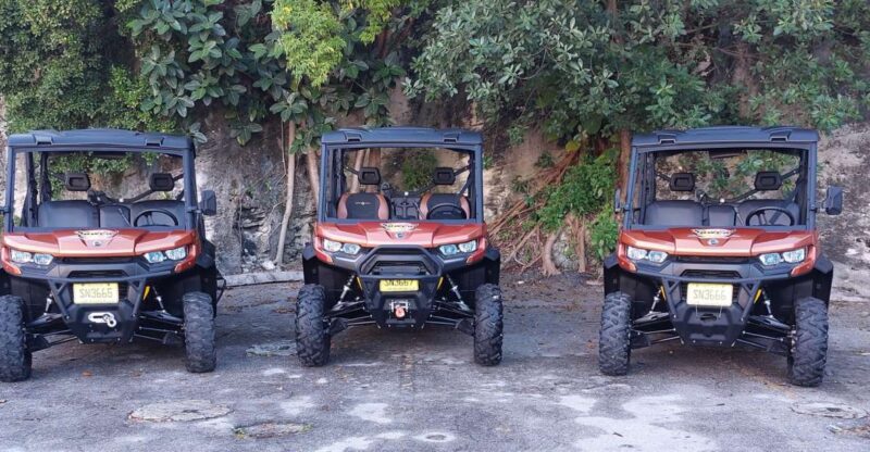 Nassau: 6-Seater Beach Buggy Rental - Exploring Nassaus Highlights
