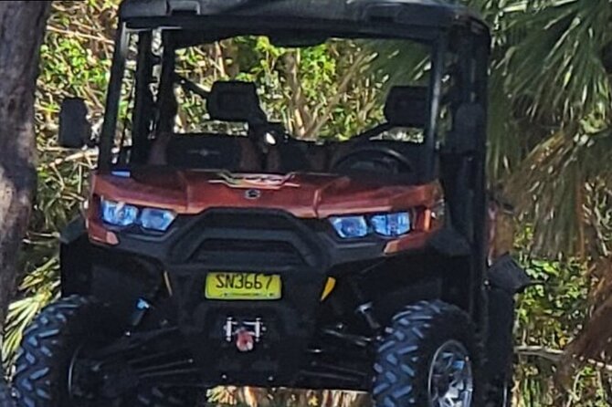Nassau Adventure: Jeep Rental With Bluetooth Speaker - Vehicle Condition and Features