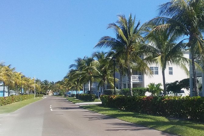 Nassau Airport to Palm Cay - Transportation in Style - Detailed Service Offerings