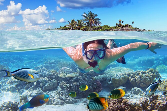 Nassau Aquatic Reef Tour: Snorkel, Turtle Watch, Lunch Included - Activities and Locations