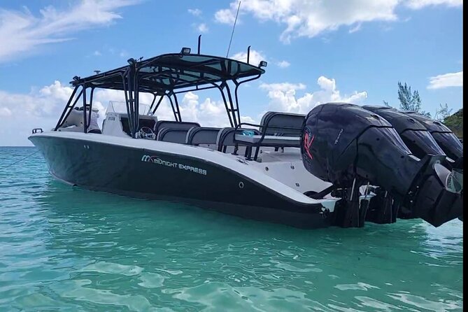 Nassau Aquatic Reef Tour: Snorkel, Turtle Watch, Lunch Included - Accessibility and Health Restrictions