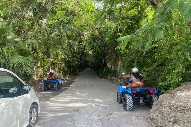 Nassau Atv Island Half-Day City Tour With Free Pick-Up - Customer Experiences and Feedback