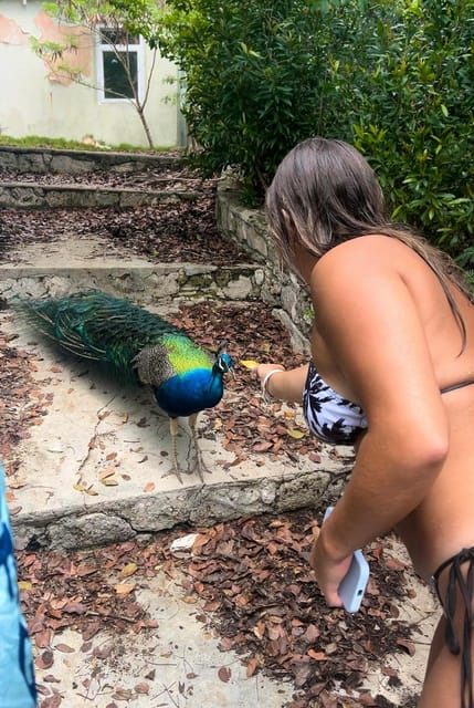 Nassau Bahamas: Boat Excursion, Snorkelling and More - Key Points