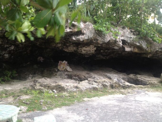 Nassau: Bahamas Island Jeep Buggy Tour With Bahamian Lunch - Frequently Asked Questions