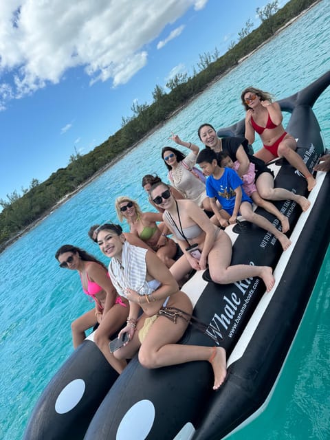 Nassau Bahamas(:) Swimming Pigs , Snorkeling, Turtles - Key Points