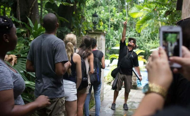 Nassau: Bites and Sites Food and Cultural Walking Tour - Key Points