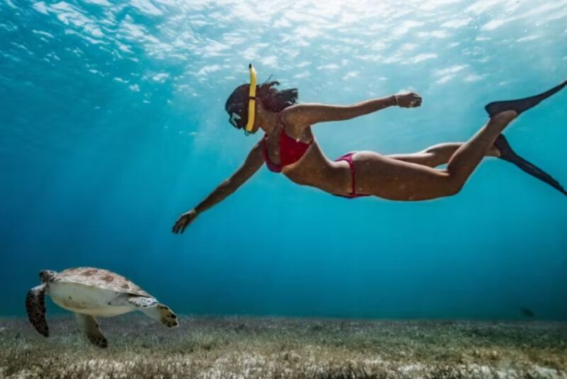 Nassau: Catamaran Sail and Snorkel Tour - Key Points