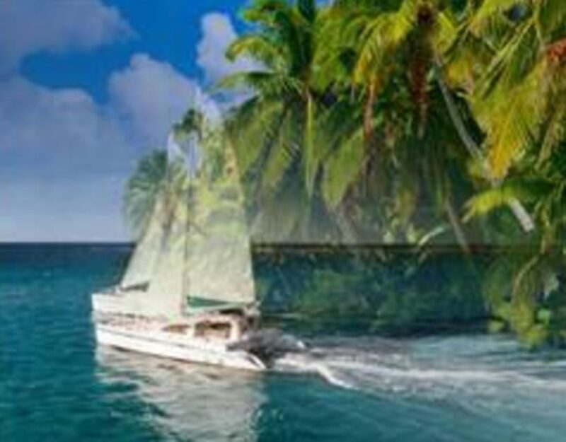 Nassau: Catamaran Sail and Snorkel Tour - Participant Guidelines
