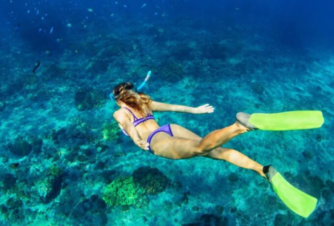 Nassau: Catamaran Sail and Snorkel Tour - Onboard Entertainment